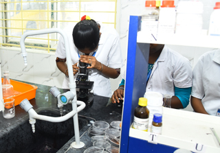 Microbiology Lab